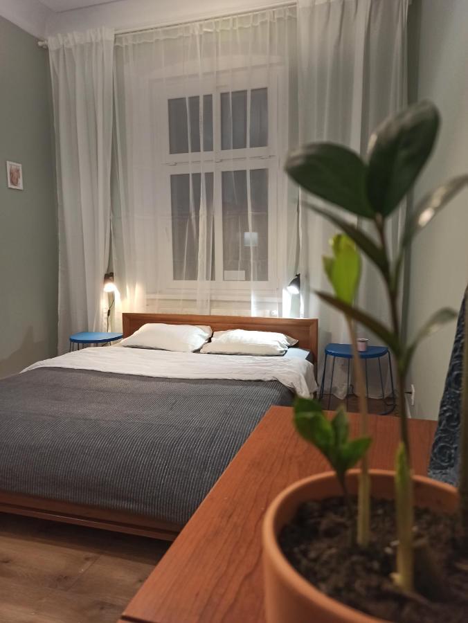 Apartament Rozeta Centrum 6Os ليجنيكا المظهر الخارجي الصورة