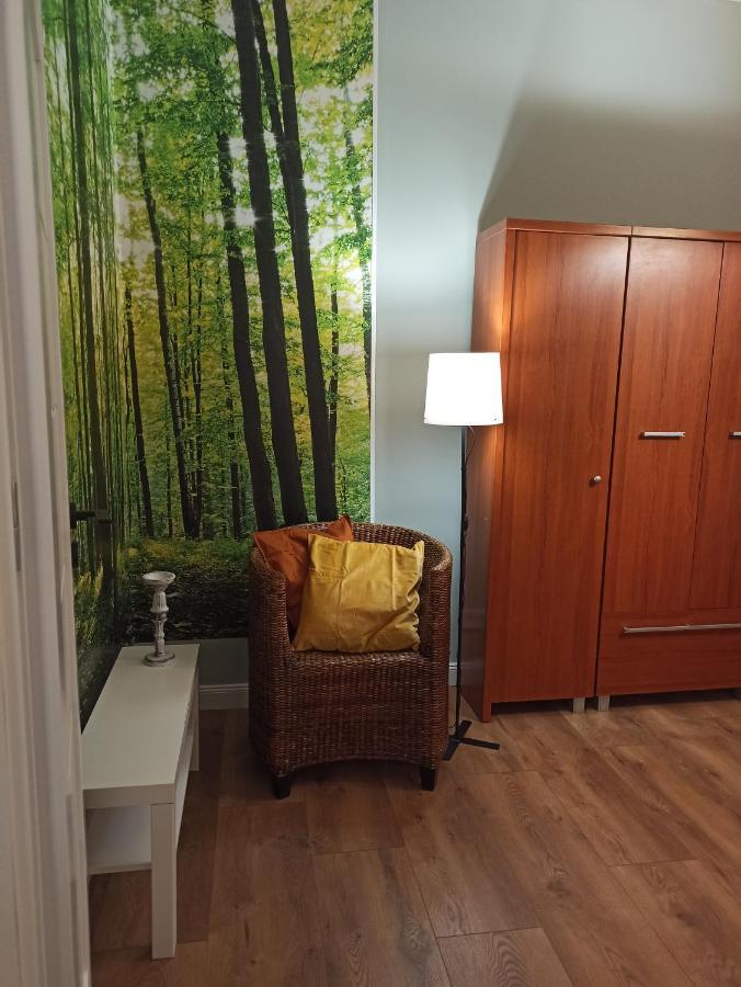 Apartament Rozeta Centrum 6Os ليجنيكا المظهر الخارجي الصورة