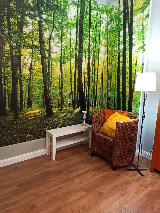 Apartament Rozeta Centrum 6Os ليجنيكا المظهر الخارجي الصورة