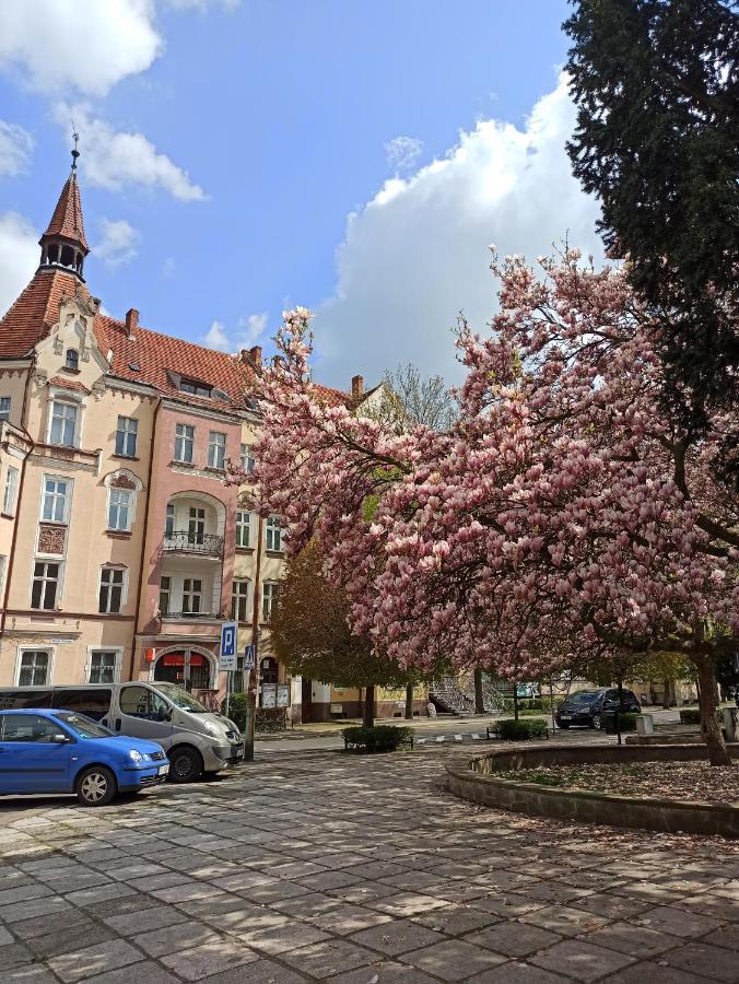 Apartament Rozeta Centrum 6Os ليجنيكا المظهر الخارجي الصورة