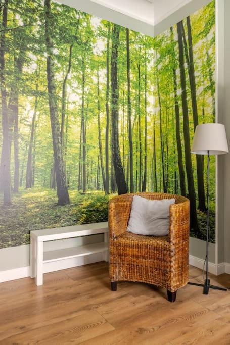 Apartament Rozeta Centrum 6Os ليجنيكا المظهر الخارجي الصورة